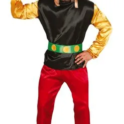 Déguisement Astérix