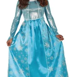 Déguisement Princesse Des Neiges