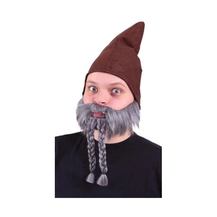 Barbe Grise Avec Tresses