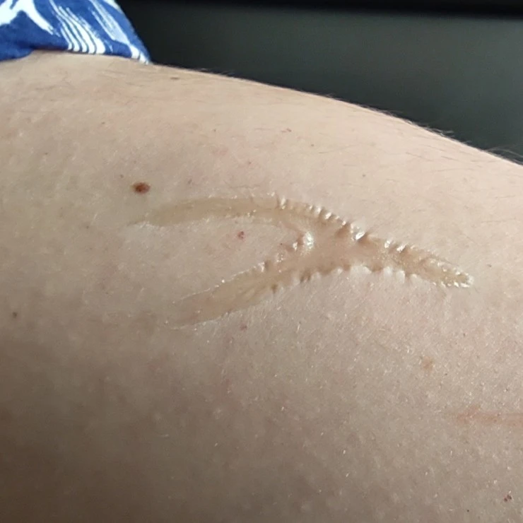 Collodion Kryolan 30ml – Image 2