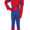 Déguisement Homme Araignée Musclé