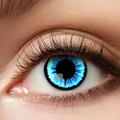 Lentilles Engel 7 Jours