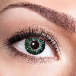 Lentilles Vertes 3 Tons