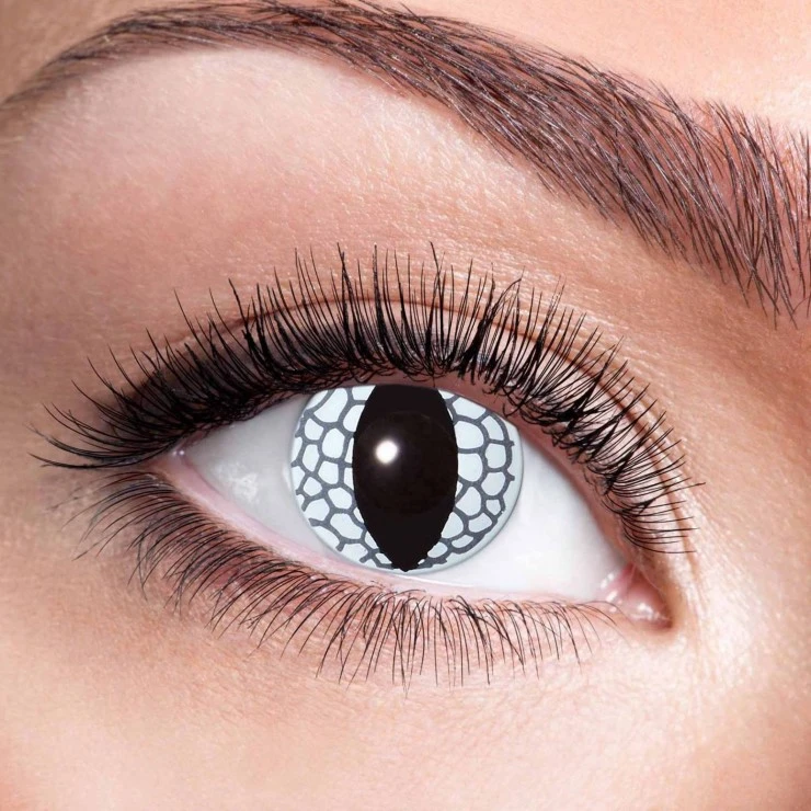 Lentilles White Dragon 1an